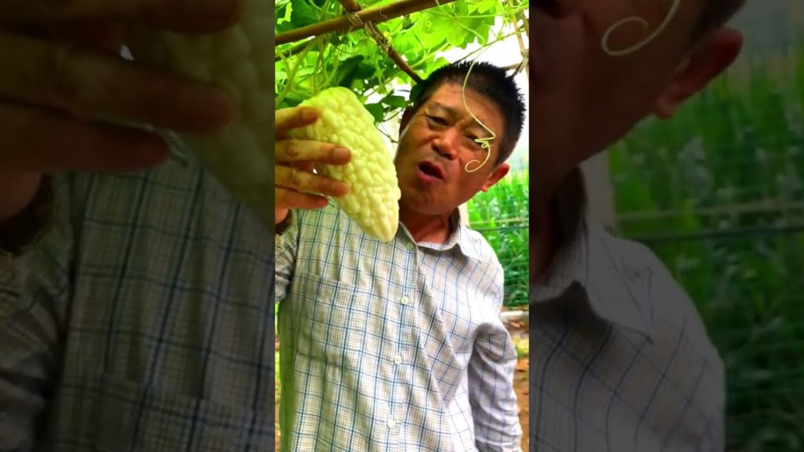 A rich vegetable garden #shorts #gardening