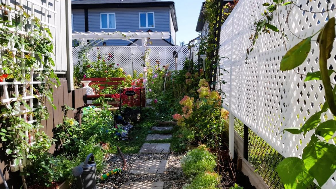 October Garden Tour | New Backyard Privacy Fence and Walkway |  Digging Dahlia Tubers