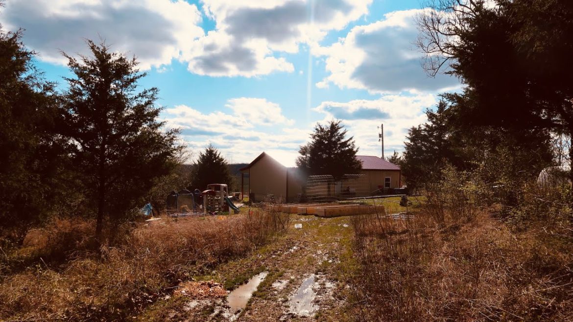 Backyard Tour | Future garden plans Backyard Tour | Future garden plans