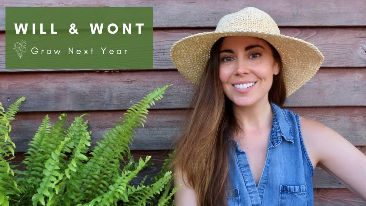 Plants I Will & Won't Grow Next Year | Container Gardening