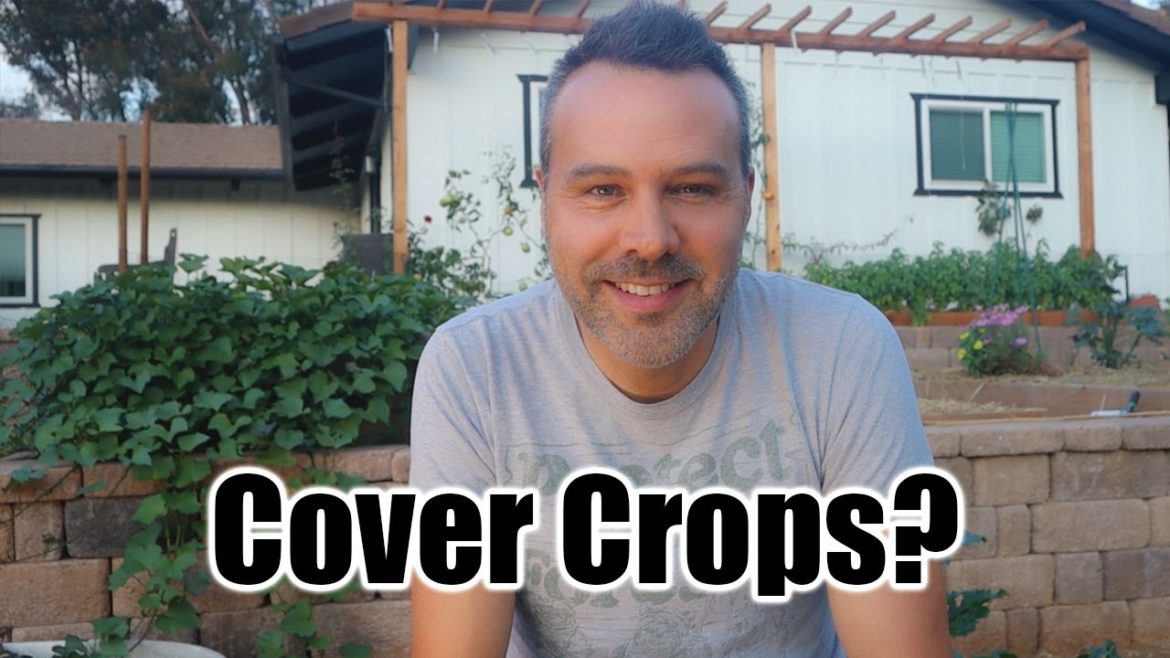 California Garden TV: Cover Crops Cover Crops