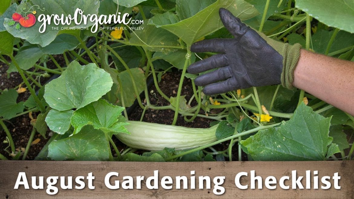 August Gardening Checklist – 20 Tips to Maintain Your Organic Garden August Gardening Checklist - 20 Tips to Maintain Your Organic Garden