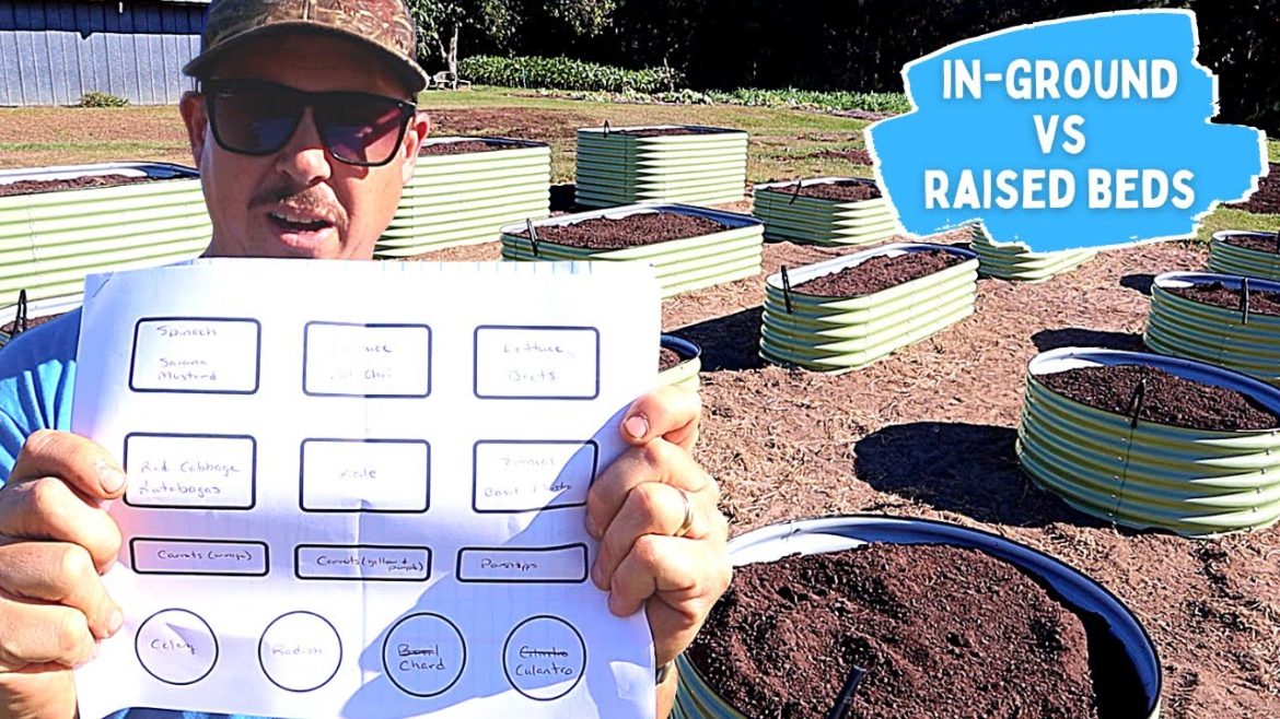 RAISED BEDS vs. IN-GROUND GARDENS | Fall Backyard Garden Planning