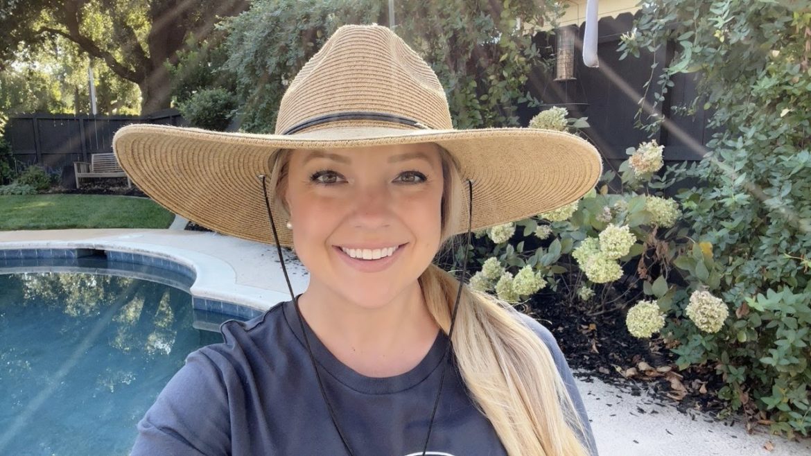 Underplanting My Limelight Hydrangeas! :: Gardening Zone 9b :: Dig, Plant, Water, Repeat