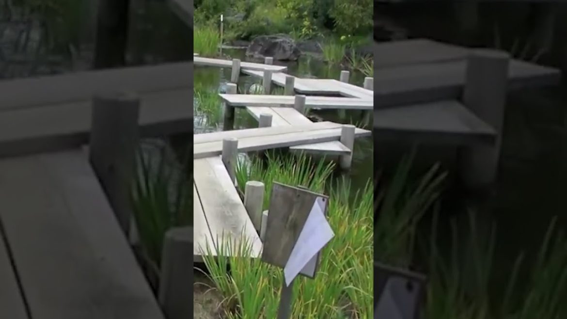 Japanese Garden Inspiration