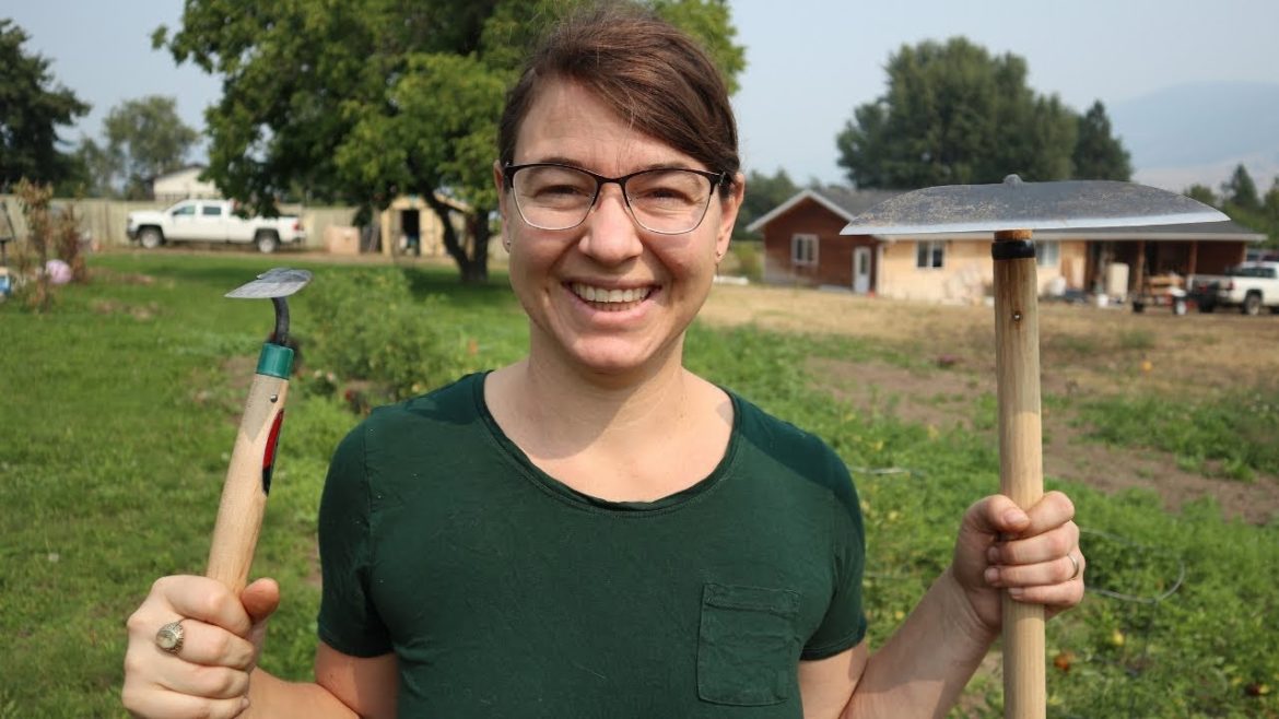 THE BEST HOE EVER!  2 months of weeds cleared