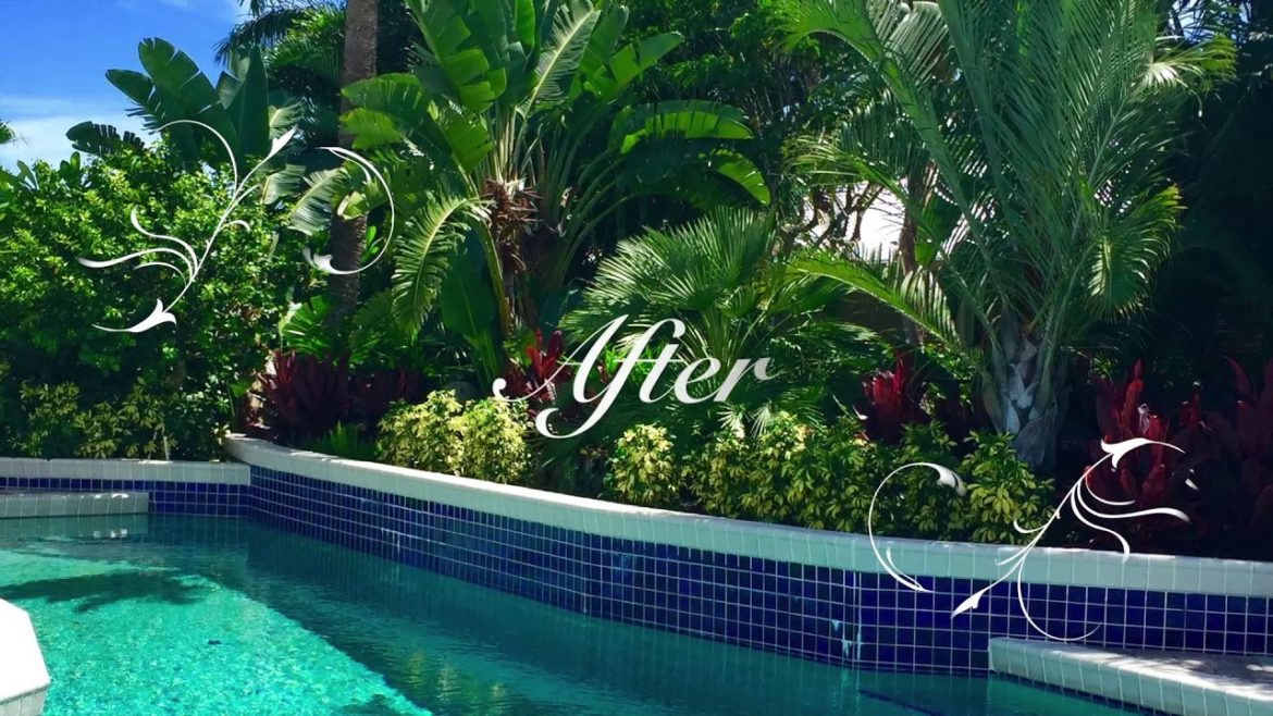 Tropical Show and Tell of Front yard and backyard landscape highlights