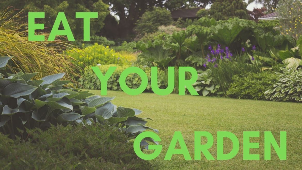 The case for edible front gardens | February daily video challenge 2019 The case for edible front gardens | February daily video challenge 2019