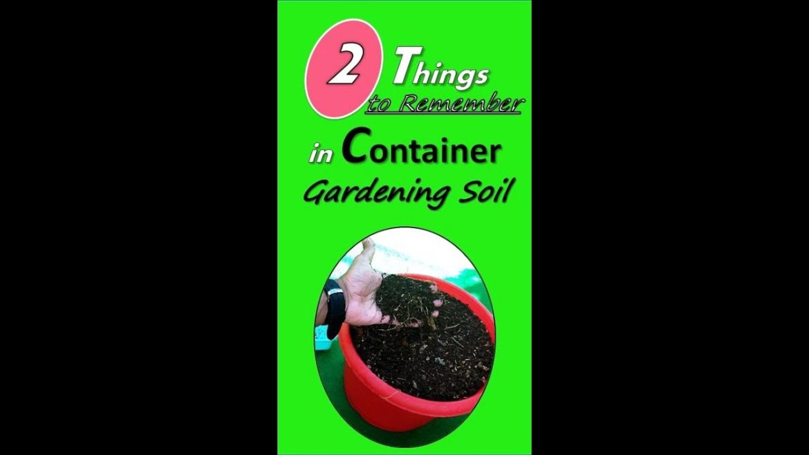 Container gardening soil Container gardening soil