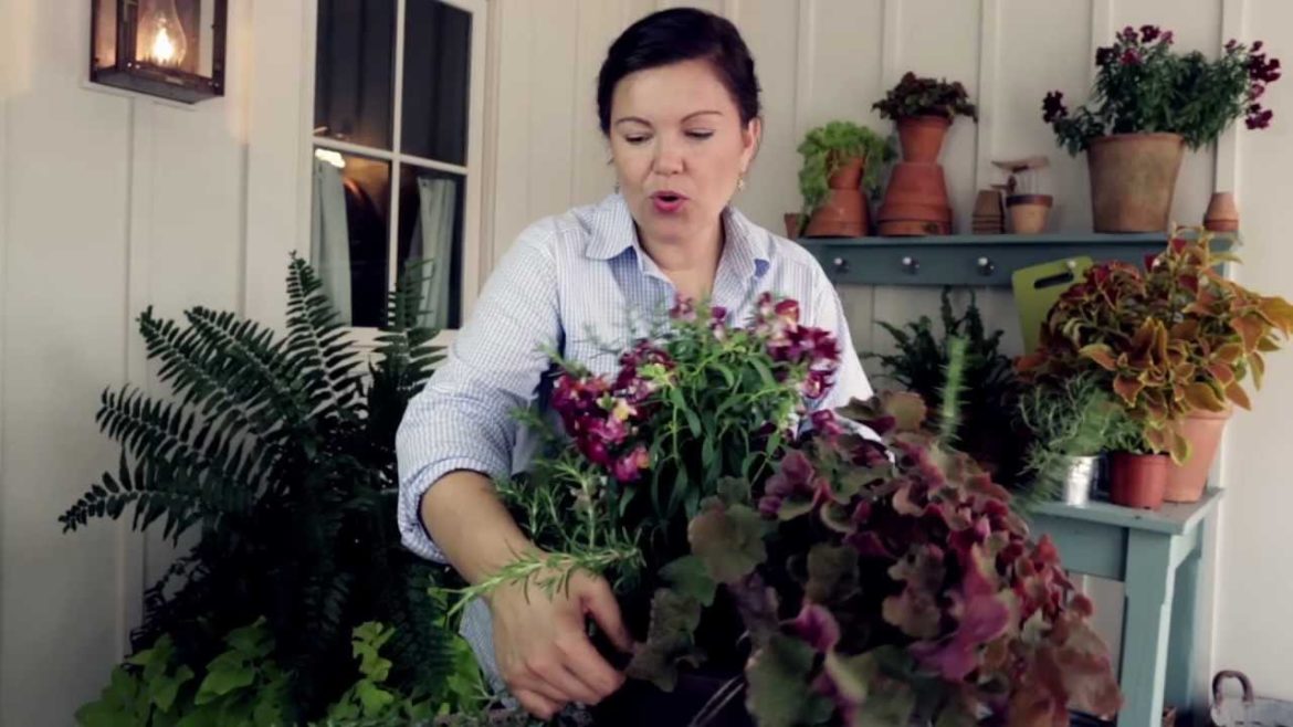How to Plant a Patio Container Garden – Tips from Carmen Johnston and Southern Living Plants How to Plant a Patio Container Garden - Tips from Carmen Johnston and Southern Living Plants