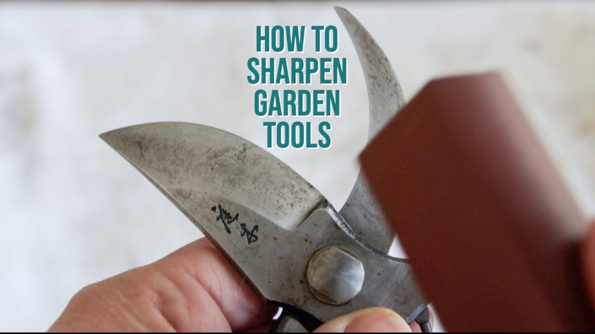 HOW TO SHARPEN PRUNERS | The Impatient Gardener HOW TO SHARPEN PRUNERS | The Impatient Gardener