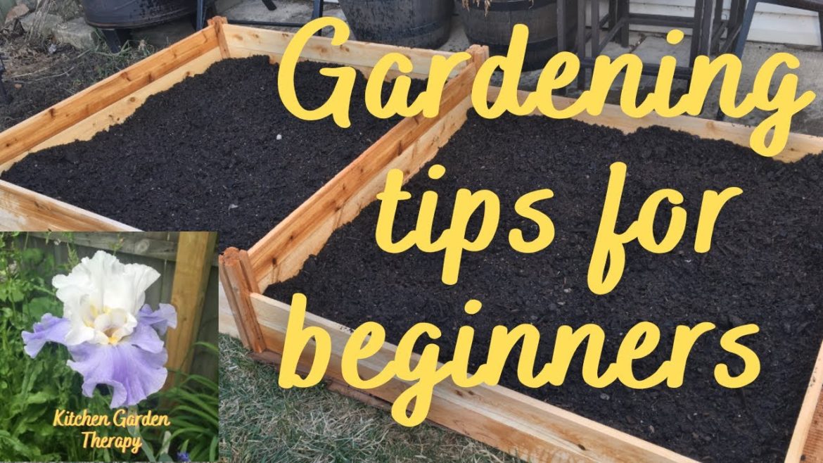 Gardening tips for beginners.