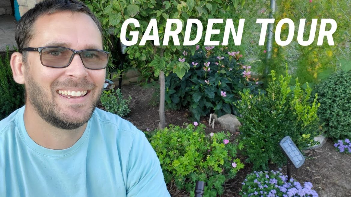 Frontyard Garden Tour - Aug 2021