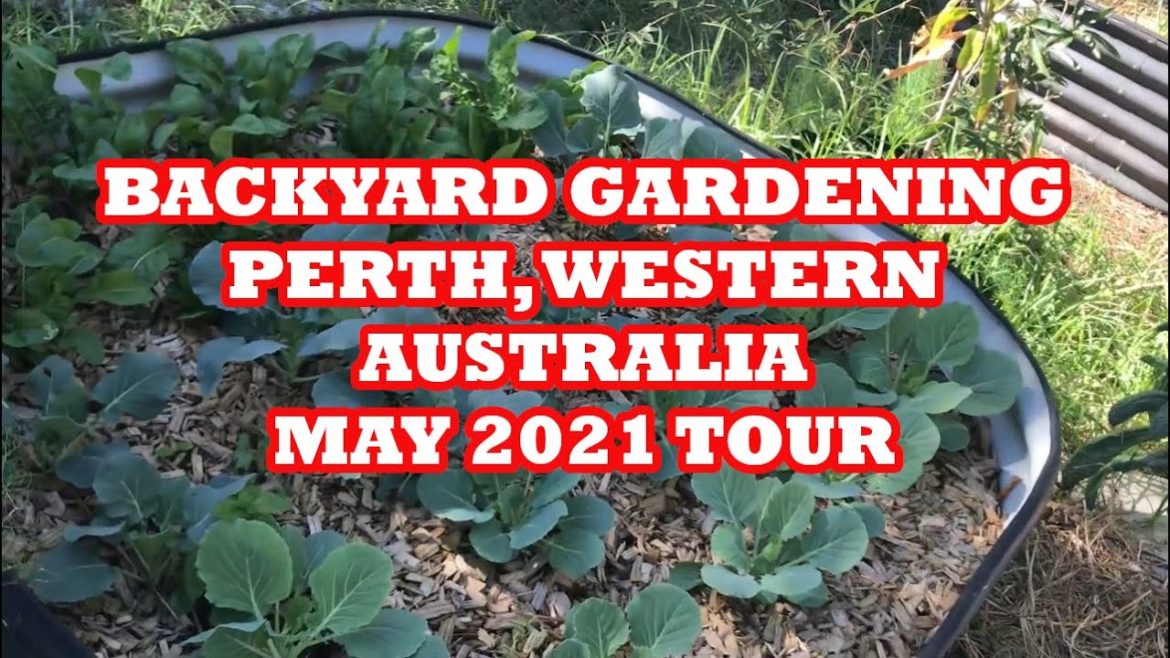 Backyard Garden Tour - May 2021