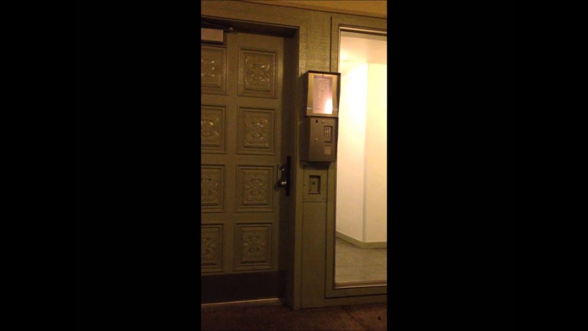 Contemporary Japanese Garden Design.