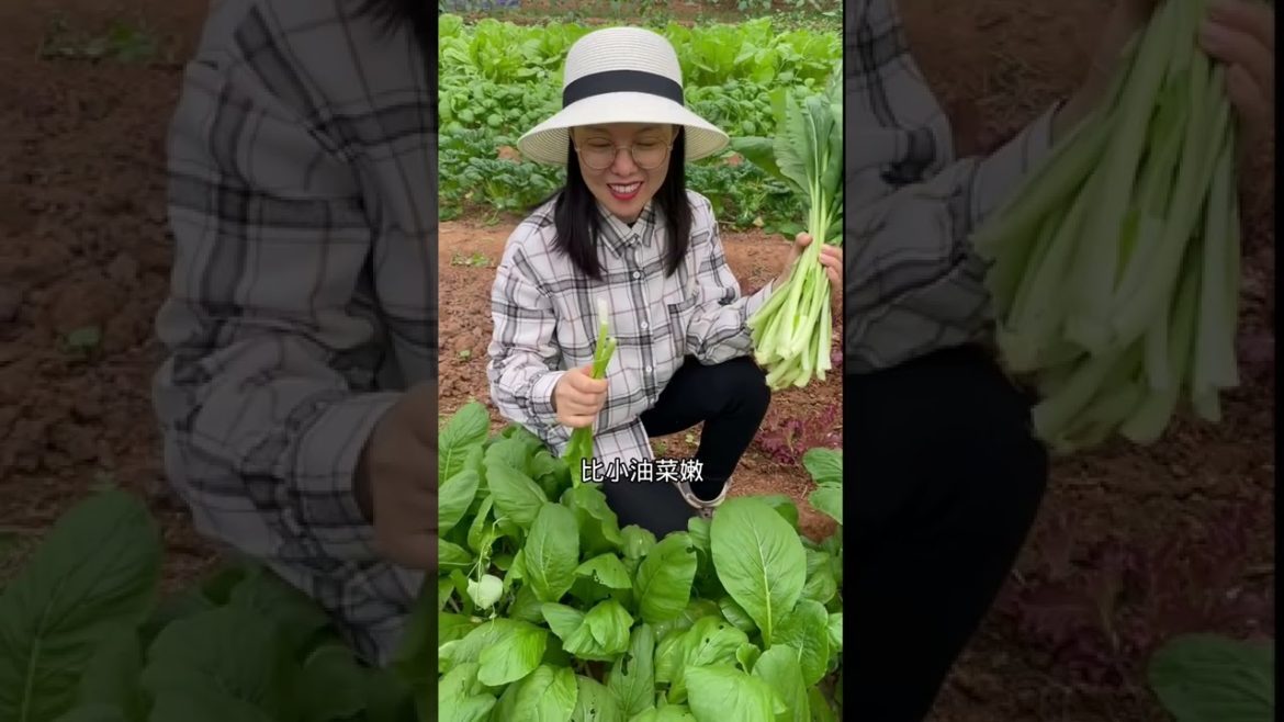 Growing vegetables Growing vegetables