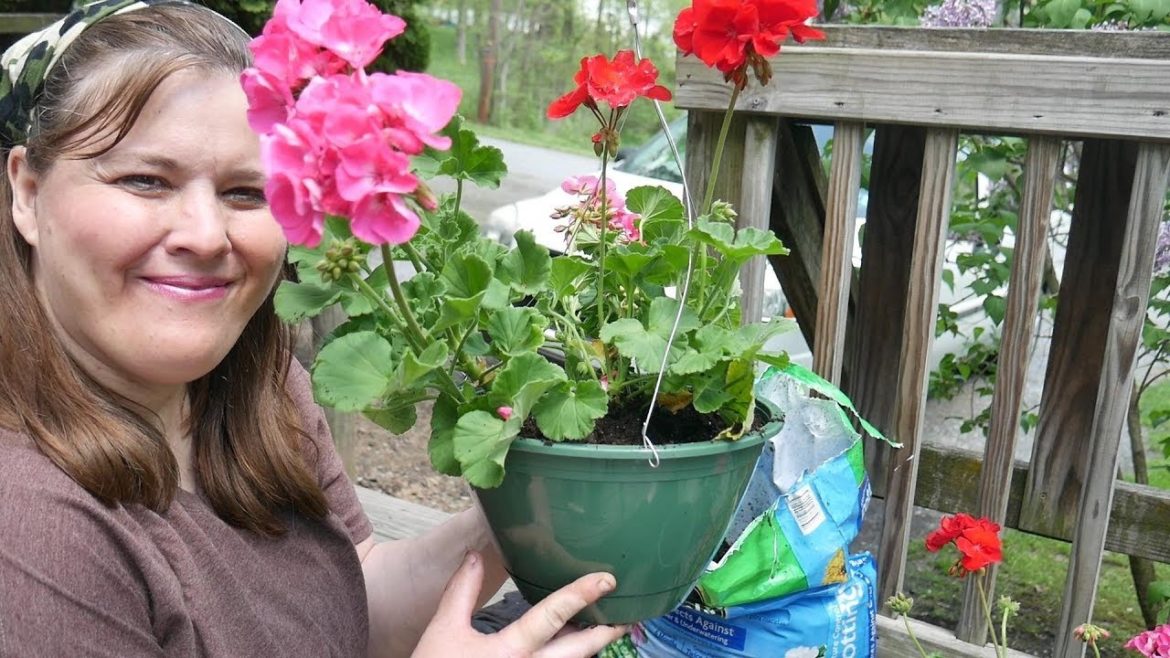 DIY Container Gardening ,NO skills Needed (Homestead Tessie Simple Mobile Home Living) DIY Container Gardening ,NO skills Needed (Homestead Tessie Simple Mobile Home Living)