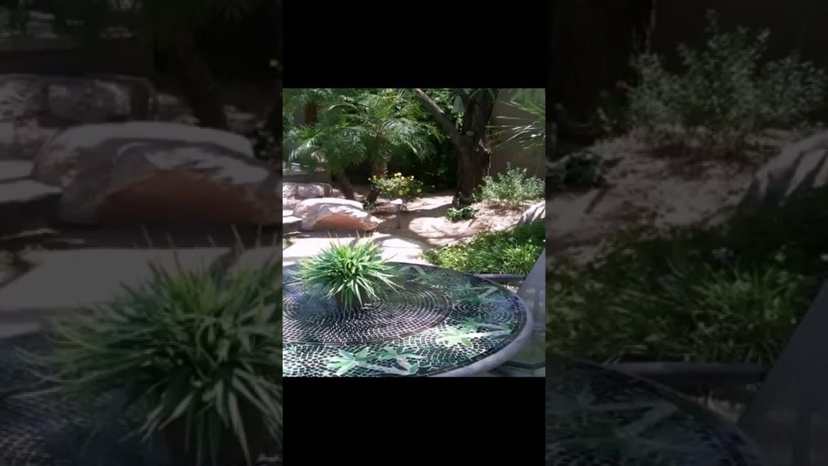 Landscape Desing ideas Best ideas for  garden and landscape #230 #shorts 41