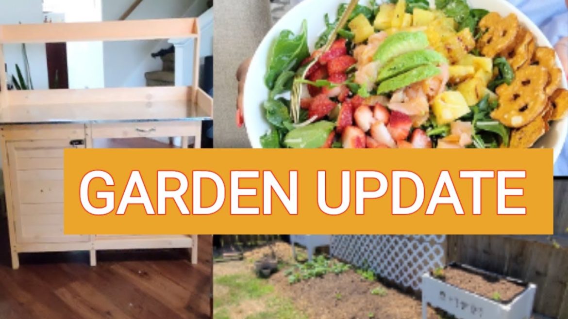 MY SPRING TEXAS BACKYARD GARDEN UPDATE || VINGLI PLANTER TABLE MY SPRING TEXAS BACKYARD GARDEN UPDATE || VINGLI PLANTER TABLE