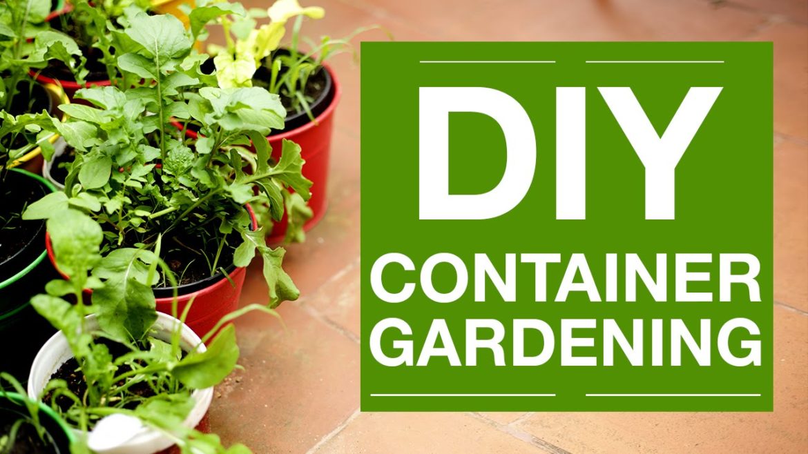 How to Grow Anything – Container Gardening How to Grow Anything - Container Gardening