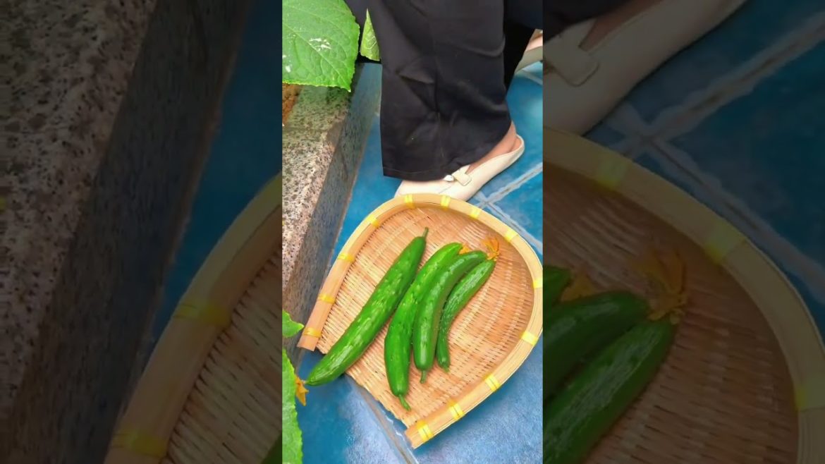 Beautiful Nature with Rural Life #shorts #naturalife #rurallife