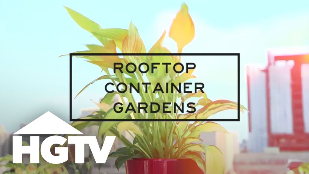 Designing a Stylish Rooftop Container Garden | Gardening Tips | HGTV