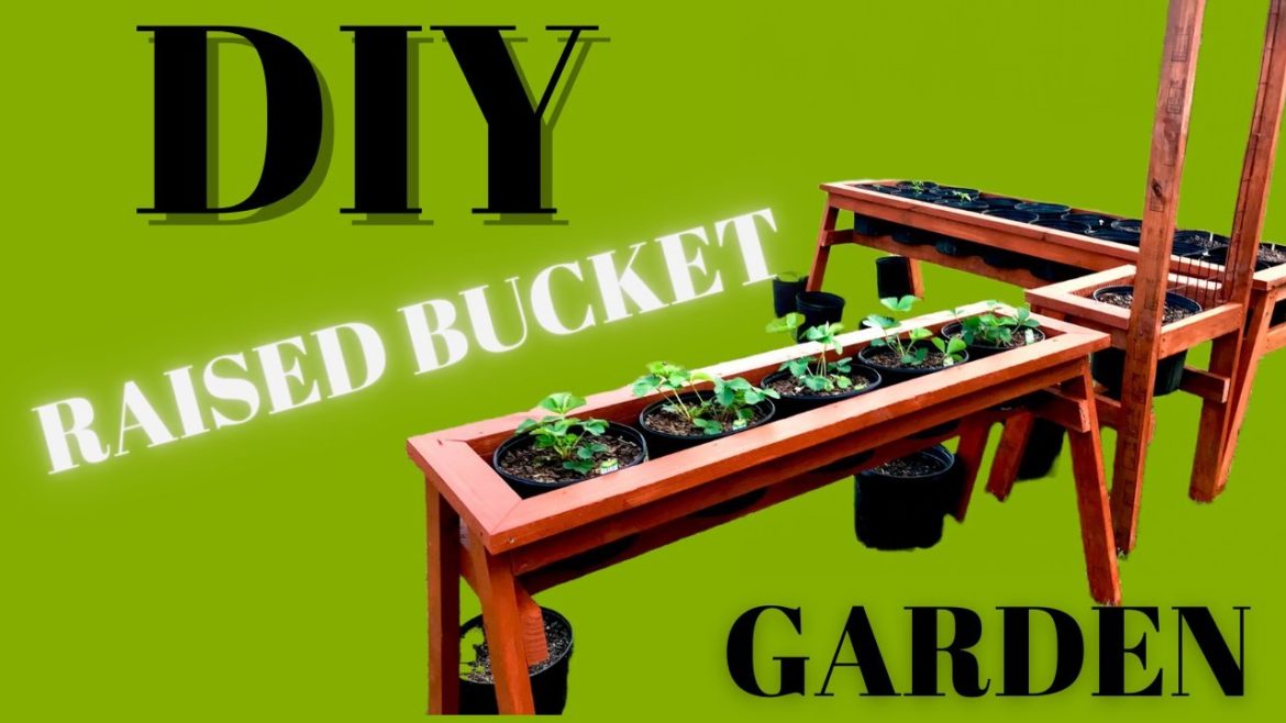 DIY Elevated CONTAINER GARDEN!
