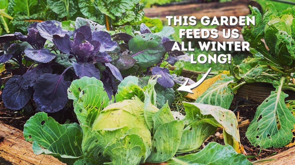 Create a Thriving Winter Garden! | Winter Garden Tips + Tour