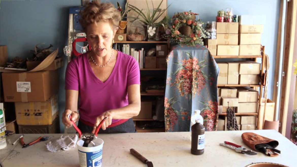 How to Sterilize Gardening Tools : Smart Gardening How to Sterilize Gardening Tools : Smart Gardening