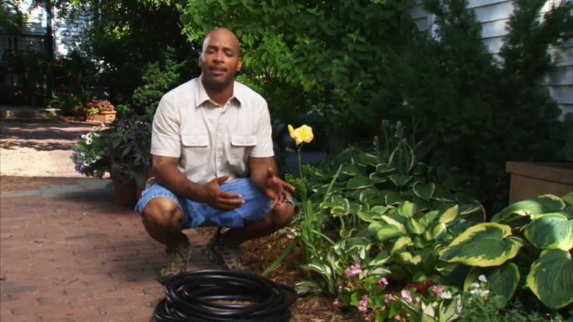 Low Maintenance Landscaping Ideas Low Maintenance Landscaping Ideas