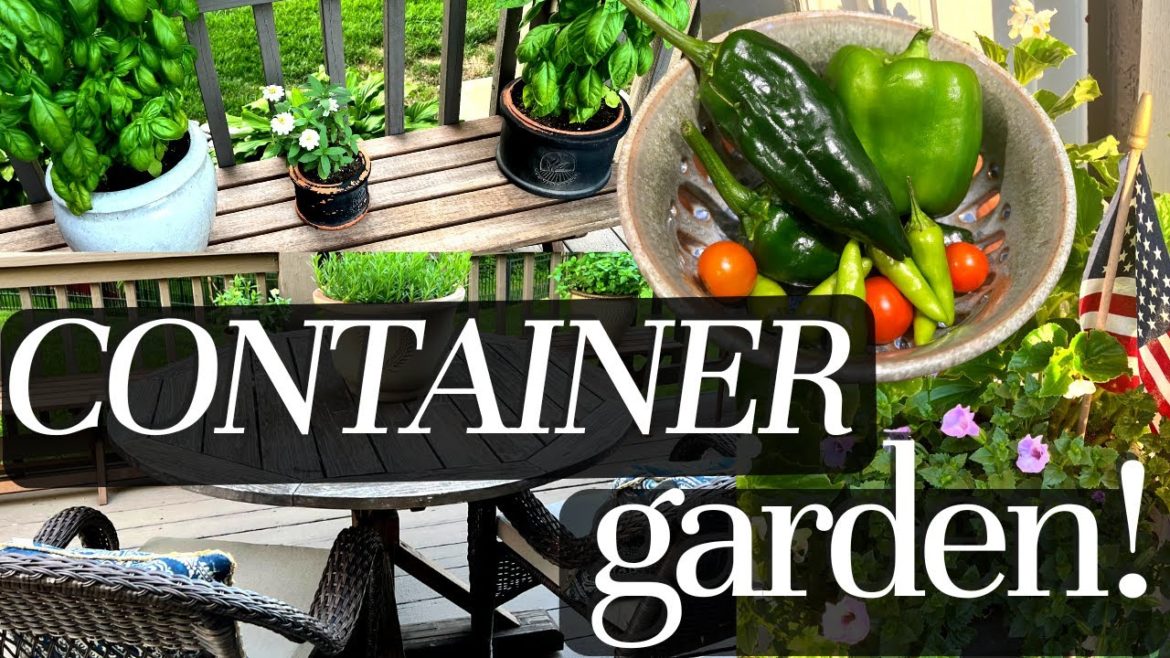 🌱 FULL Container Garden Tour - Summer 2022 Plants on our Deck & Patio 🌱