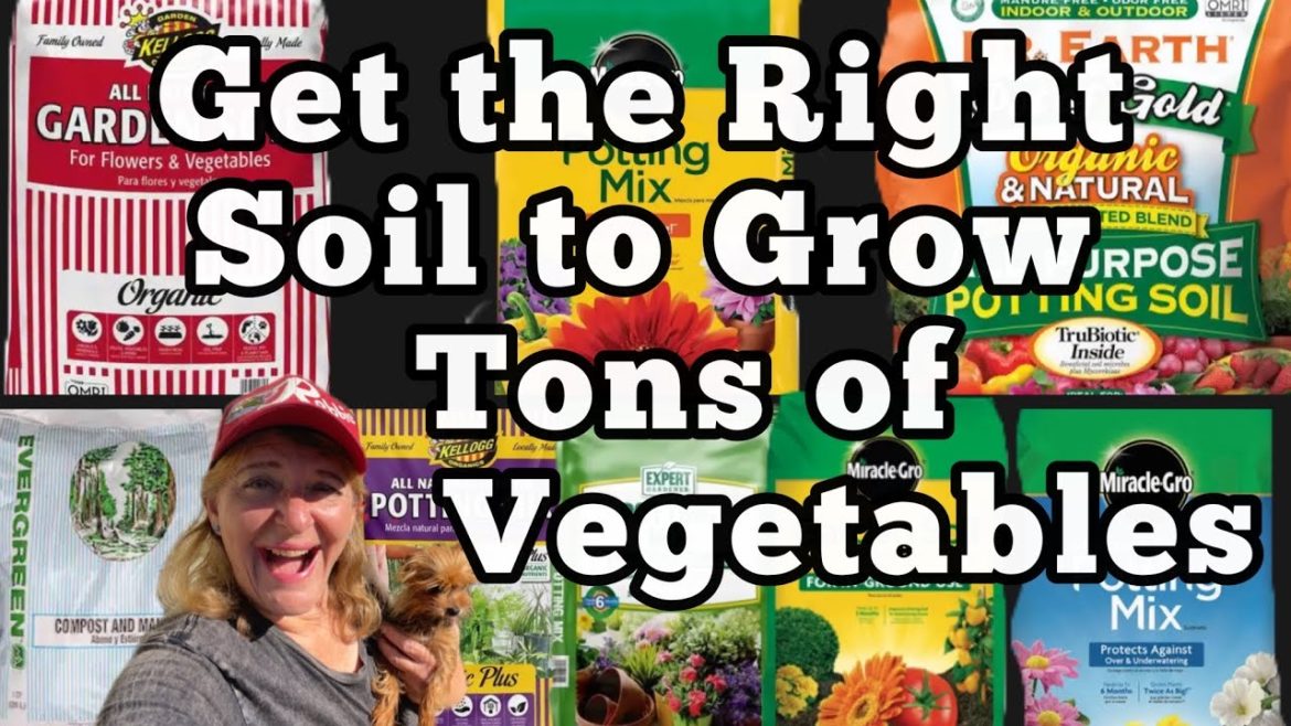 Know This~Potting Mix vs Garden Soil Tips How to Container Garden Grow in Pots Buckets Tote & Ground Know This~Potting Mix vs Garden Soil Tips How to Container Garden Grow in Pots Buckets Tote & Ground
