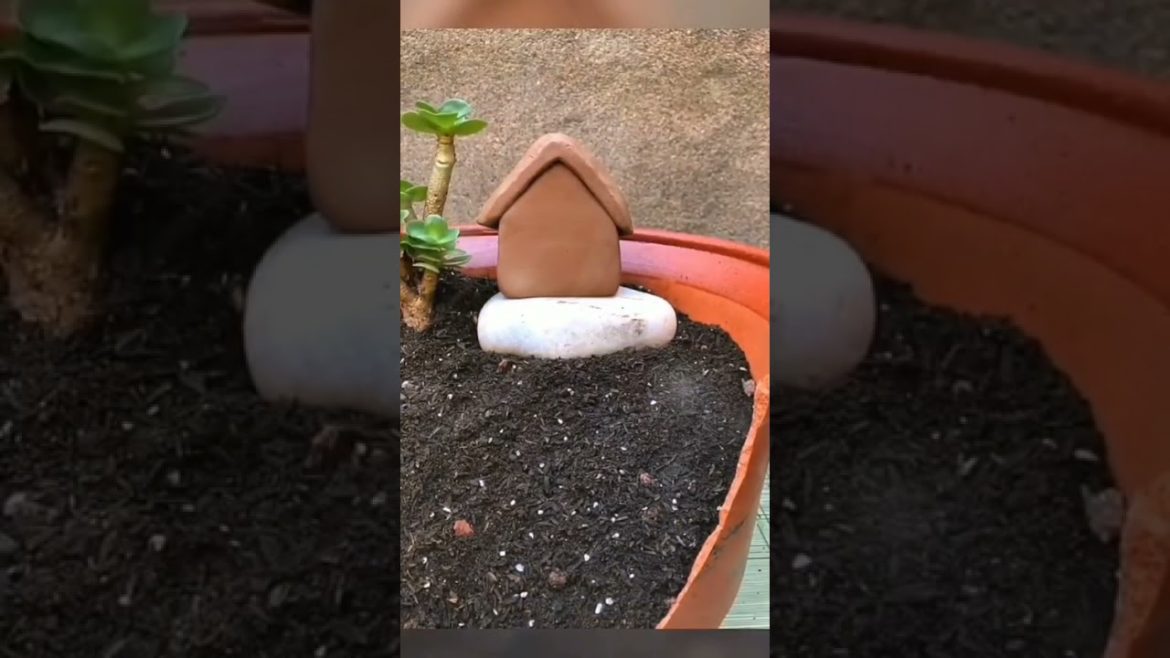 would you like it | gardening #shorts #gardenlife #viralshorts would you like it | gardening #shorts #gardenlife #viralshorts