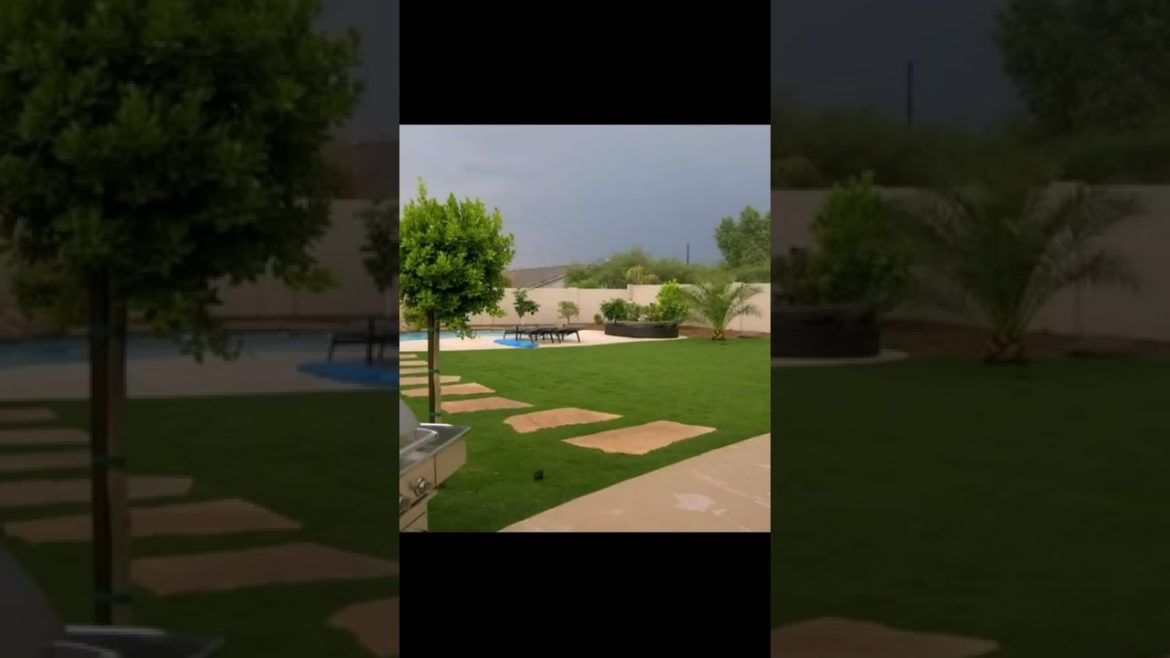 Landscape Desing ideas Best ideas for  garden and landscape #230 #shorts 43