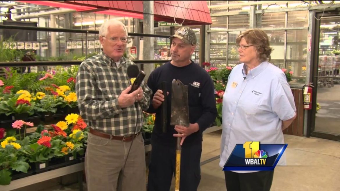 Sunday Gardener: Tips for digging safely