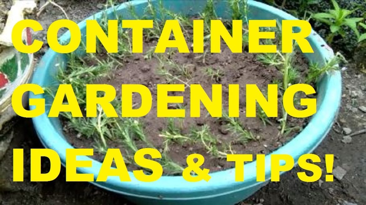 CONTAINER GARDENING│GARDEN IDEAS│GARDENING PHILIPPINES