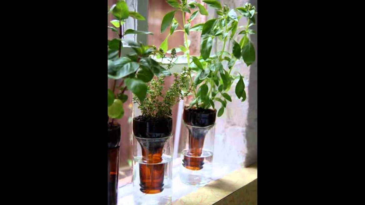 Indoor gardening indoor gardening supplies Indoor gardening indoor gardening supplies