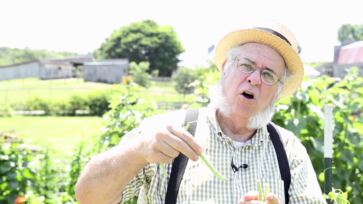 Gardening Tips and Tricks: How to Grow Green Beans