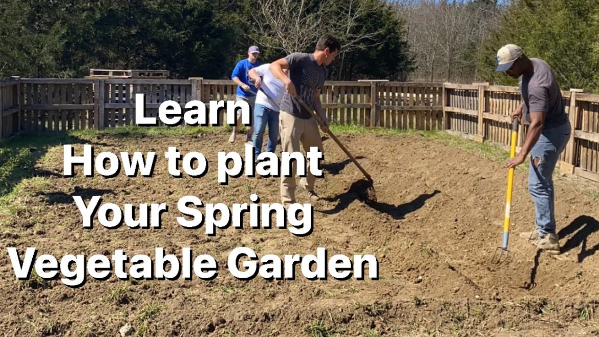 Planting a SPRING Vegetable Garden with tips from master Gardener Dustin Howard