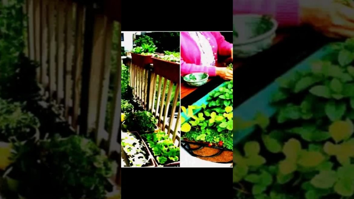 Landscape Desing ideas Best ideas for  garden and landscape #230 #shorts 48