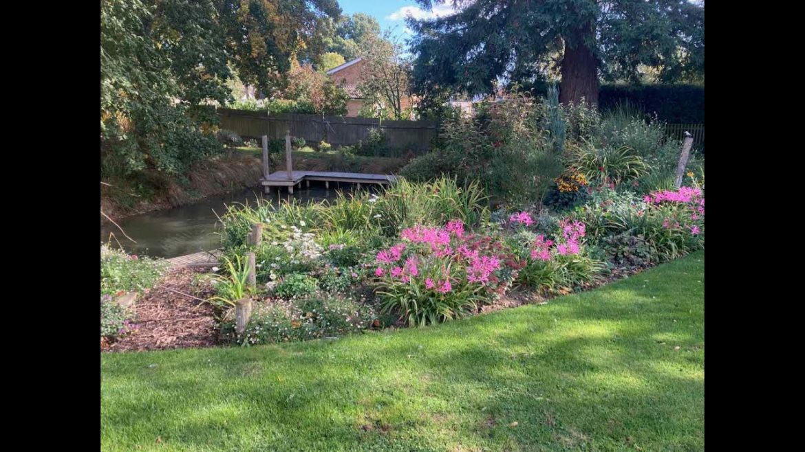 Suffolk Garden October 2022 Suffolk Garden October 2022