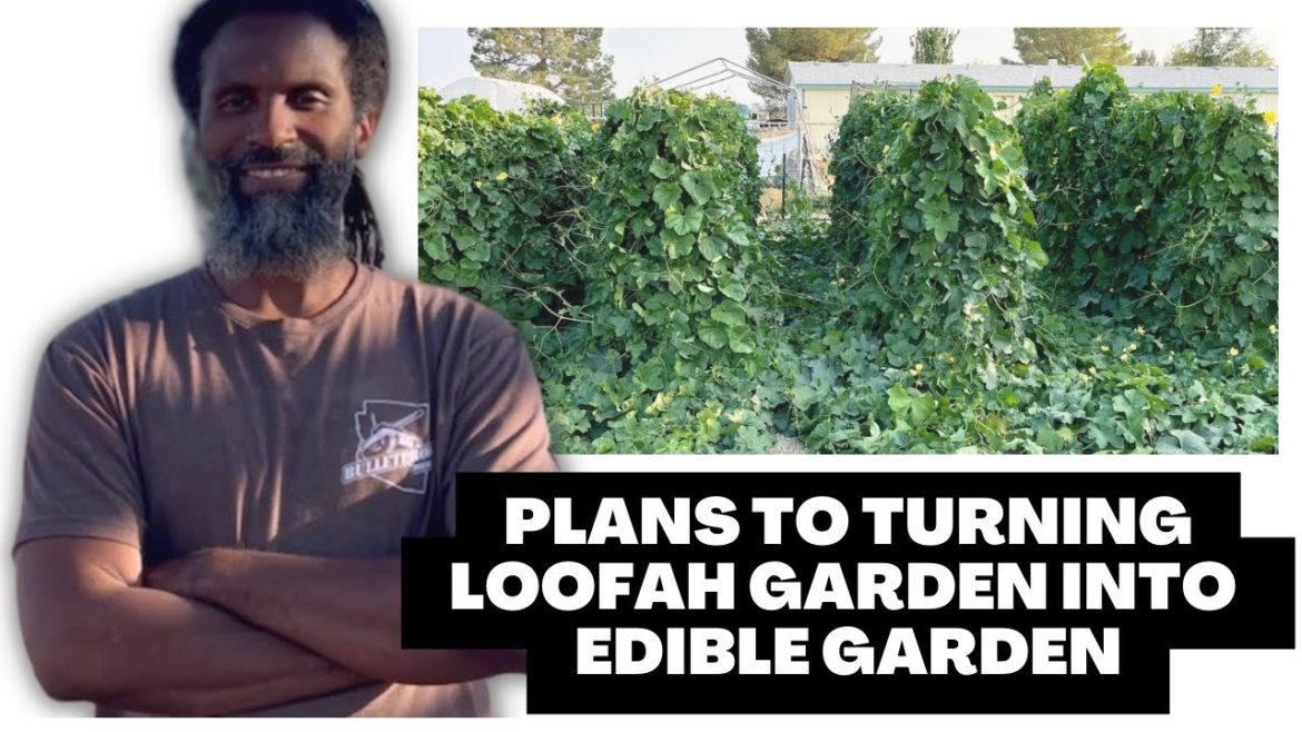 🌱 Large Family Converting A Loofah Garden Into An Edible Garden - Plans and Clean up | TheHaiPath