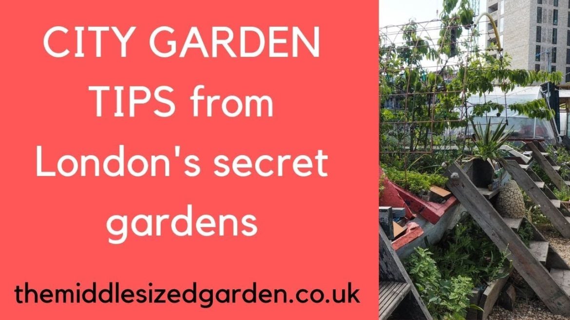 City garden tips from London's secret gardens City garden tips from London's secret gardens