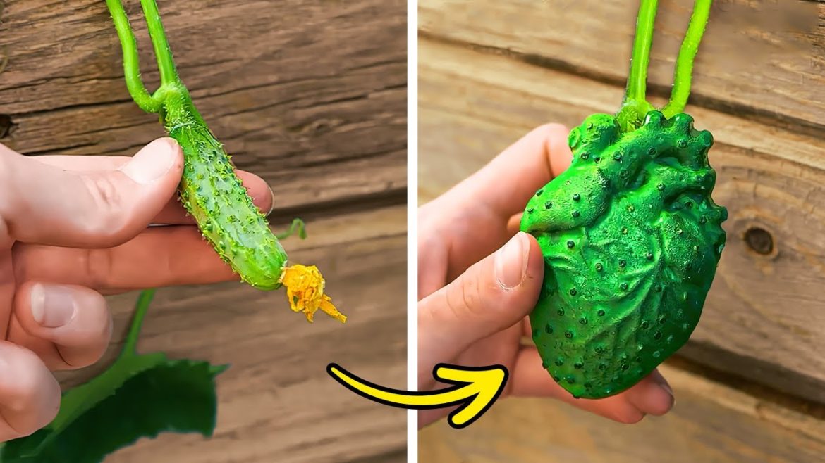 Cute And Useful Plant Hacks To Grow Your Own Garden Cute And Useful Plant Hacks To Grow Your Own Garden