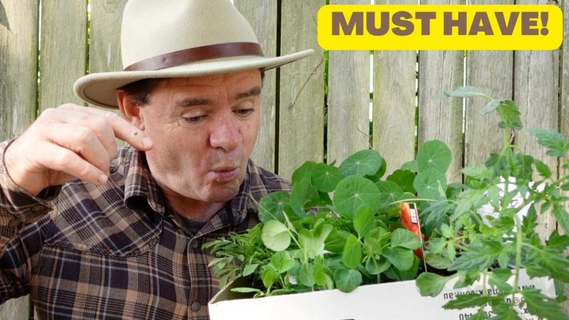 5 More Plants For My Self Sufficient Garden 5 More Plants For My Self Sufficient Garden