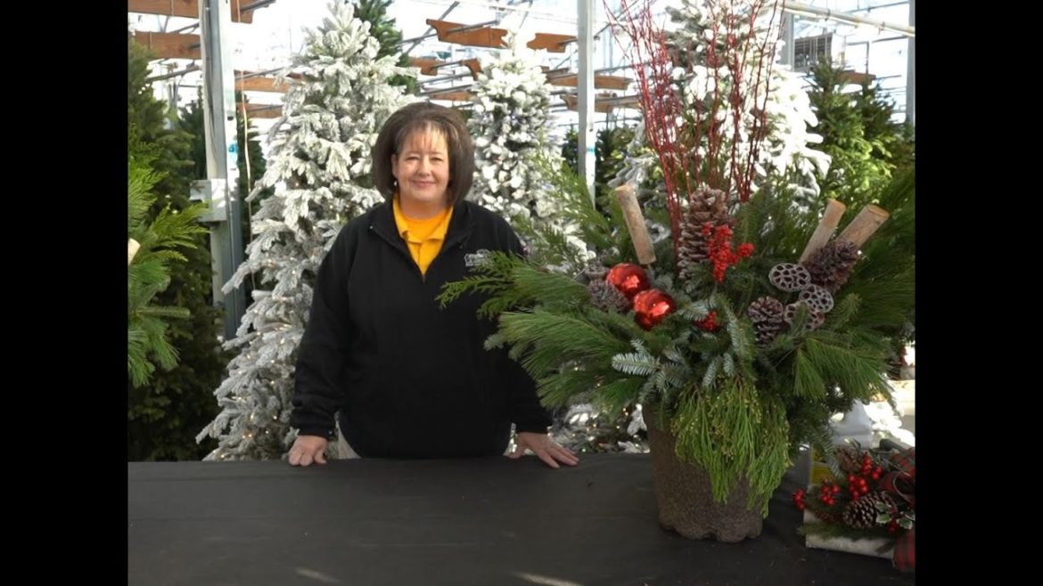 Creating an Evergreen Container Garden ENGLISH GARDENS Creating an Evergreen Container Garden ENGLISH GARDENS