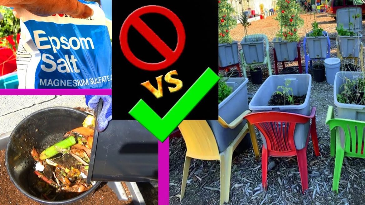 CHEAP Container Gardening Vlog Chair Garden TIPS Growing Vegetables FREE Fertilizer Compost in Place
