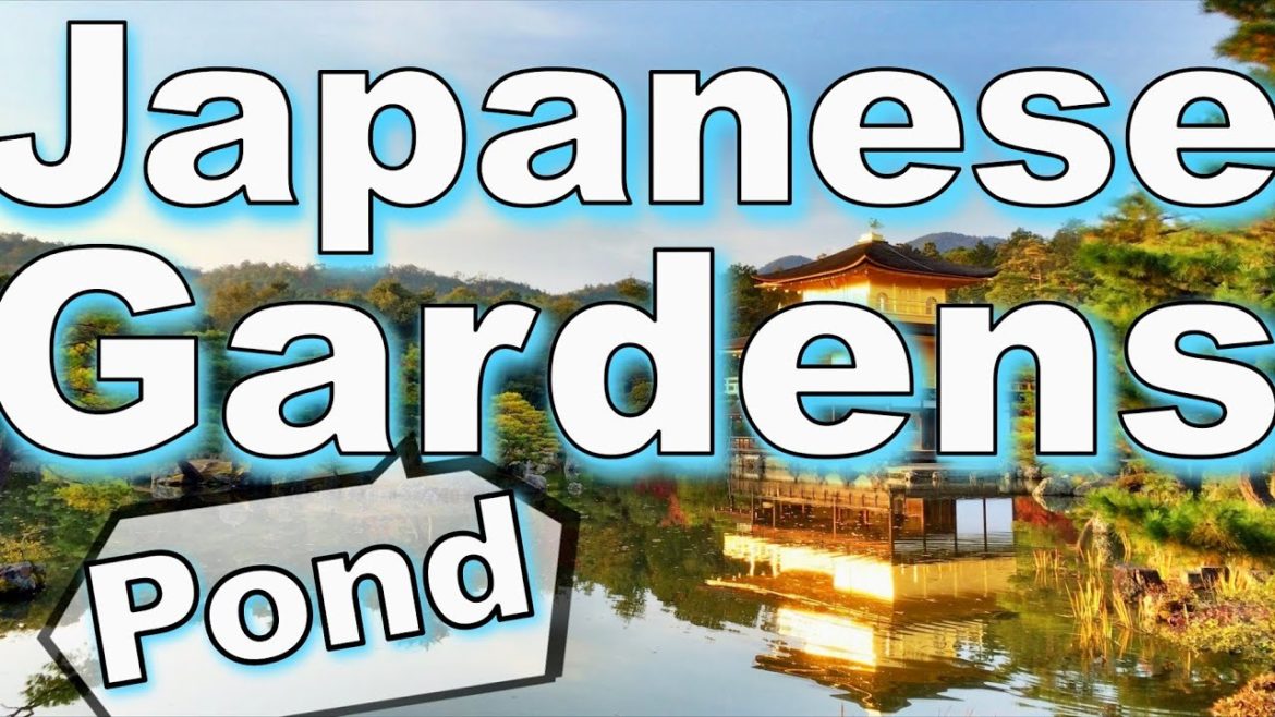 Japanese Garden (Pond Garden)