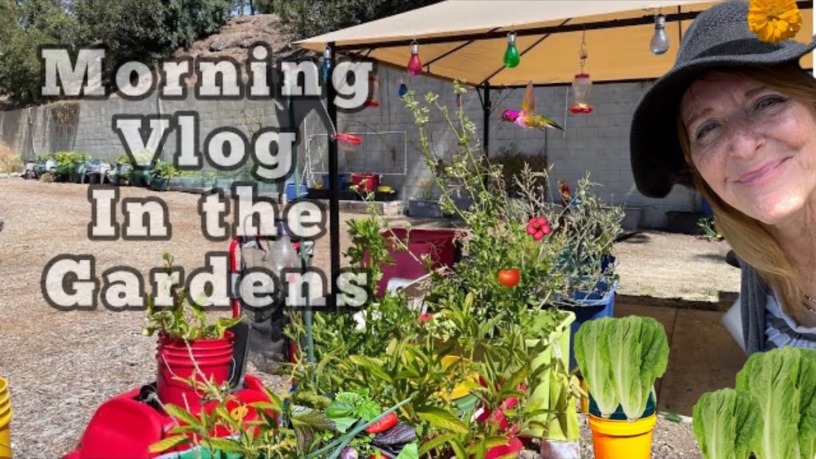 Vegetable Garden Talk * Container Gardening, Prepping, Protecting Tips & Growing as I enjoy Nature Vegetable Garden Talk * Container Gardening, Prepping, Protecting Tips & Growing as I enjoy Nature