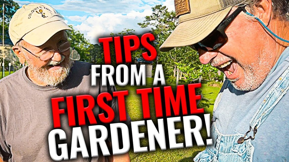 Gardening Tips From A First Time Gardener Gardening Tips From A First Time Gardener
